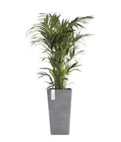 Ecopots Kunststoff-Topf Rotterdam, Quadratisch -Pflanzenbedarf Geschäft 6614374 WE FS 003 EcopotsKunststoffTopfRotterdamhalbhochquadratisch