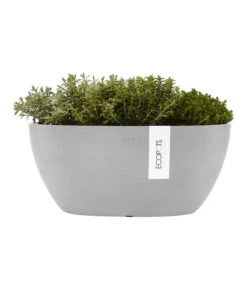 Ecopots Kunststoff-Schale Sofia Mit Wassersystem, Oval, Ca. B30/H13,5/T13 Cm -Pflanzenbedarf Geschäft 6614903 WE FS 003 EcopotsKunststoffSchaleSofiamitWassersystemoval