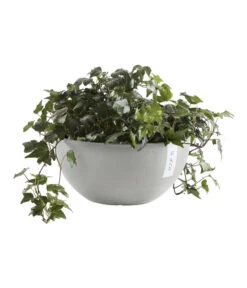 Ecopots Kunststoff-Topf Brussels, Rund 11 Ecopots Kunststoff-Topf Brussels, Rund -Pflanzenbedarf Geschäft 6614978 WE FS 004 EcopotsKunststoffTopfBrusselsrund