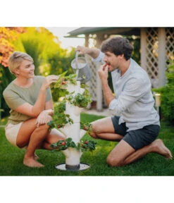 Gusta Garden Erdbeerbaum Sissi Strawberry Starter, Ca. B32/H77/T27 Cm -Pflanzenbedarf Geschäft 6626998 WE MO 002 SissiStrawberry