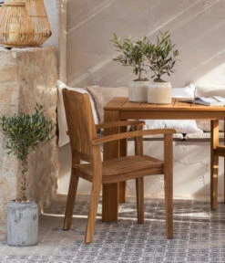 Olive, Stamm, In Keramik, Ca. Ø17/H90 Cm 10 Olive, Stamm, In Keramik, Ca. Ø17/H90 Cm -Pflanzenbedarf Geschäft 6657415 WE MO 002 GruppeHavanna