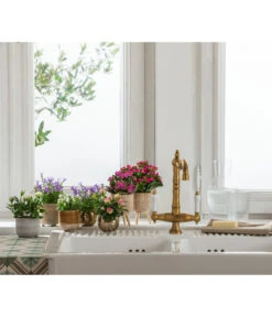 Dehner Beton-Übertopf Gaby, Rund, Ca. Ø7,5 Cm -Pflanzenbedarf Geschäft 6733604 4461554 6732606 6733604 6732929 WE MO 002 TopfGabyTopfKody