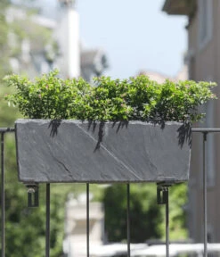 Climaqua Schiefer-Kasten Jardi, Rechteckig 8 Climaqua Schiefer-Kasten Jardi, Rechteckig -Pflanzenbedarf Geschäft 6877716 WE MO 001 ClimaquaSchieferKastenJardirechteckig