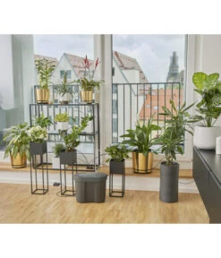 GARDENA Urlaubsbewässerung Set Inkl. Wasserreservoir -Pflanzenbedarf Geschäft 6916290 WE MO 002 GardenaUrlaubsbewaesserungSetWasserreservoir