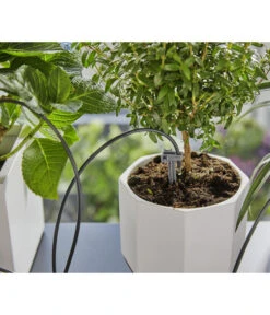 GARDENA Urlaubsbewässerung Set Inkl. Wasserreservoir -Pflanzenbedarf Geschäft 6916290 WE MO 004 GardenaUrlaubsbewaesserungSetWasserreservoir