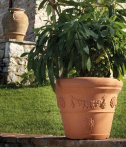 Farmet New Kunststoff-Topf Festonato, Rund, Terrakotta, Inkl. Untersetzer -Pflanzenbedarf Geschäft 6965198 WE MO 001 FarmetNewKunststoffBlumentopfFestonatorundterrakotta