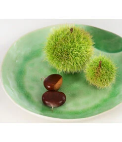 Esskastanie -Pflanzenbedarf Geschäft 7091580 PR DE 002 CastaneaSativaEsskastanieDehnerExpressHerzig