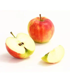 Herbstapfel 'Elstar' 9 Herbstapfel 'Elstar' -Pflanzenbedarf Geschäft 7369164 WE DE 006 ApfelElstarDehnerExpressHerzig