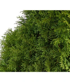 16 Meter Lebensbaum 'Smaragd', 40 X Ca. 125-150 Cm -Pflanzenbedarf Geschäft 7513534 WE DE 001 ThujaLebensbaumOccidentalisSmaragd20LDehnerExpressHerzig