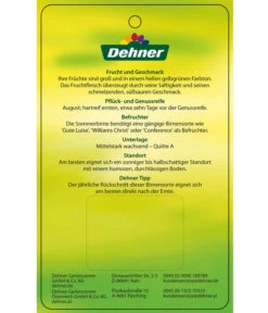 Sommerbirne 'Clapps Liebling' -Pflanzenbedarf Geschäft 7625494 SommerbirneClappsLiebling Etikett 2