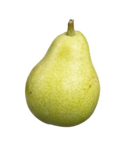 Säulenbirne 'Jeanne D'Arc' 5 Säulenbirne 'Jeanne D'Arc' -Pflanzenbedarf Geschäft 7626039 PR DE 001 SaeulenbirneJeanPixabay