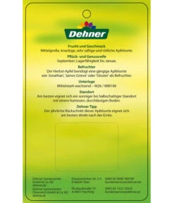 Herbstapfel 'Elstar' 13 Herbstapfel 'Elstar' -Pflanzenbedarf Geschäft 7639164 HerbstapfelElstar Etikett 2
