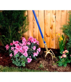 Gartenkralle Gold -Pflanzenbedarf Geschäft 765172 BildA 001 GartenkralleGoldGartenkralleGold