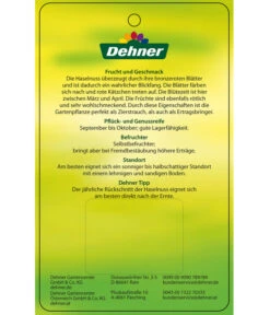 Dehner Haselnuss 'Rote Zellernuss' -Pflanzenbedarf Geschäft 7663073 HaselnussRoteZellernuss Etikett 2
