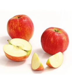 Winterapfel 'Jonagold' -Pflanzenbedarf Geschäft 7691645 WE DE 006 ApfelJonagoldDehnerExpressHerzig