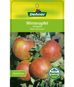 Winterapfel 'Jonagold' -Pflanzenbedarf Geschäft 7691645 WinterapfelJonagold Etikett 1