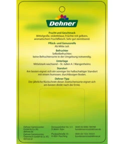 Zwetschge 'Katinka' -Pflanzenbedarf Geschäft 7693252 ZwetscheKatinka Etikett 2