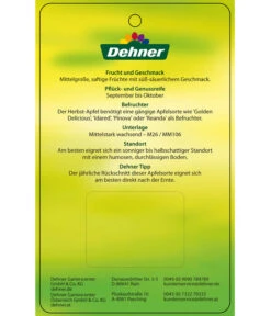 Herbstapfel 'Rebella' -Pflanzenbedarf Geschäft 7737075 HerbstapfelRebella Etikett 2