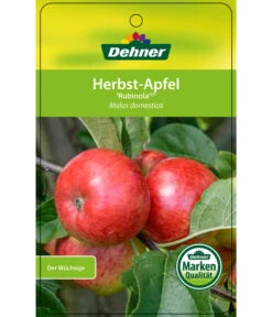 Herbstapfel 'Rubinola' -Pflanzenbedarf Geschäft 7747165 HerbstapfelRubinola Etikett 1