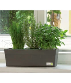GREENBAR® Kräuterkasten, Ca. B48/H15,5/T16 Cm -Pflanzenbedarf Geschäft 7750482 PR MO 001 GreenbarAnleitungIndoorSeidl