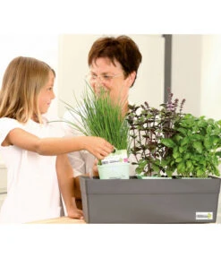 GREENBAR® Naschtomate 7 GREENBAR® Naschtomate -Pflanzenbedarf Geschäft 7750482 WE MO 009 GreenbarAnleitungIndoor