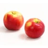Allergikerapfel 'Santana' -Pflanzenbedarf Geschäft 7750631 WE DE 003 ApfelSantanaDehnerExpressHerzig