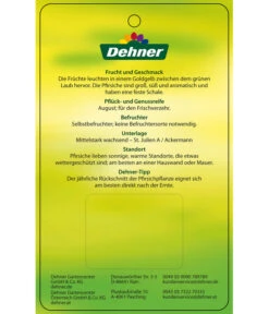 Pfirsich 'Suncrest' -Pflanzenbedarf Geschäft 7760754 GelbfleischigerPfirsichSuncrest Etikett 2