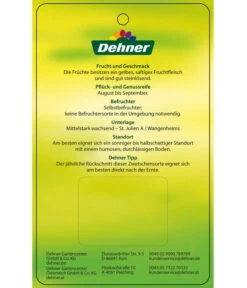 Zwetschge 'Kulinaria-Toptaste' -Pflanzenbedarf Geschäft 7763881 ZwetscheKulinariaToptaste Etikett 2