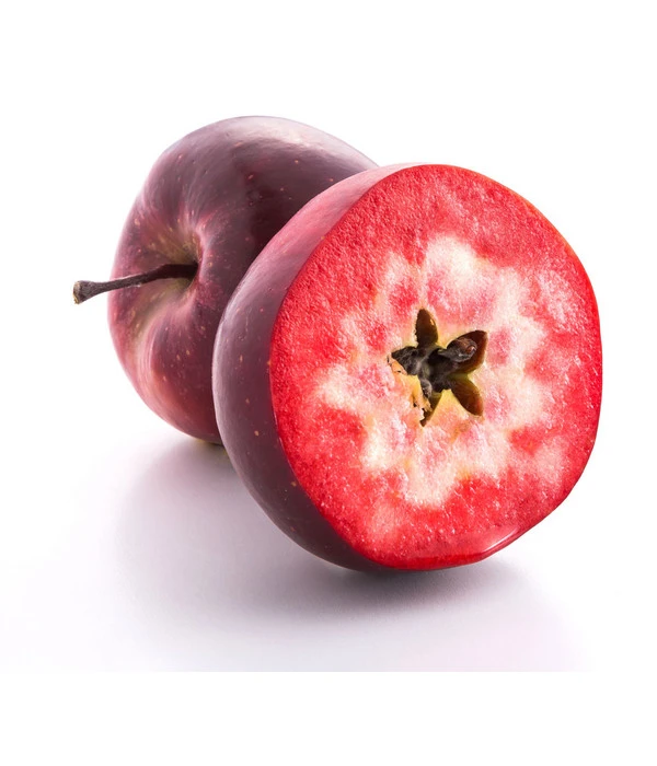 Apfel 'Vampira' 3 Apfel 'Vampira'