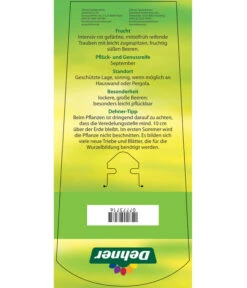 Tafeltraube 'Katharina' -Pflanzenbedarf Geschäft 7773716 TafeltraubeKatharina Etikett 2