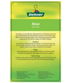 Echte Aloe-Set - Aloe Vera 9 Echte Aloe-Set - Aloe Vera -Pflanzenbedarf Geschäft 7976202 AloeVeraEtikett2
