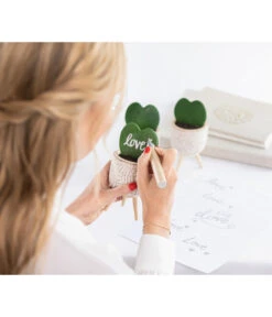 Dehner Beton-Übertopf Gaby, Rund, Ca. Ø7,5 Cm -Pflanzenbedarf Geschäft 7978075 WE MO 001 HoyaKerriiHerzblattReelValentin202303