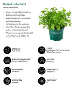 Bioland Liebstöckel 5 Bioland Liebstöckel -Pflanzenbedarf Geschäft 8002008 WE IG 001 BiolandLiebstoeckel