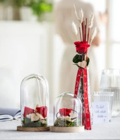 Longlife-Rose Mit Stiel, Rot -Pflanzenbedarf Geschäft 8170151 WE MO 001 LonglifeRoseValentin