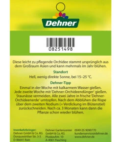 Schmetterlingsorchidee - Phalaenopsis Cultivars -Pflanzenbedarf Geschäft 8251498 2Trieber 07032016 2