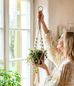 Dehner Makramee-Ampel -Pflanzenbedarf Geschäft 8252173 WE MO 001 PeperomiePepperspotMakrameeAmpel