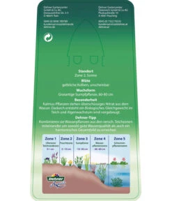 Dehner Kalmus -Pflanzenbedarf Geschäft 8310104 KalmusAcorusCalamus Etikett 2