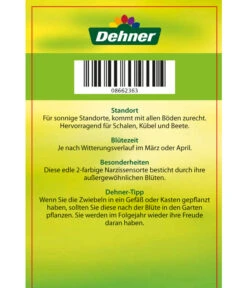 Narzisse 'Jetfire', Schale -Pflanzenbedarf Geschäft 8662363 Narcissus Jetfire Schale 2016 2