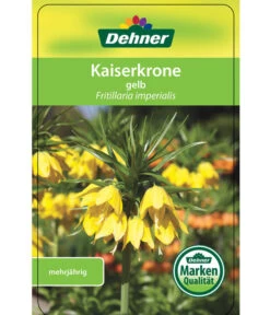 Kaiserkrone -Pflanzenbedarf Geschäft 8664674 KaiserkroneLutea Etikett 01