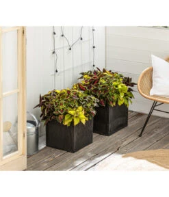 Beet- & Balkonpflanzen-Set Farbexplosion, 6-teilig -Pflanzenbedarf Geschäft 8800567 PR MO 001 Beet Balkon SetBuntnessel