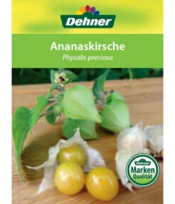 Dehner Ananaskirsche Physalis -Pflanzenbedarf Geschäft 8830069 Ananaskirsche Etikett 1