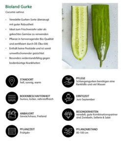 Bioland Gurke, Veredelt -Pflanzenbedarf Geschäft 8830853 WE IG 001 BiolandGurke