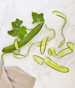 Bioland Gurke, Veredelt -Pflanzenbedarf Geschäft 8830853 WE MO 001 SchlangengurkeveredeltRenner