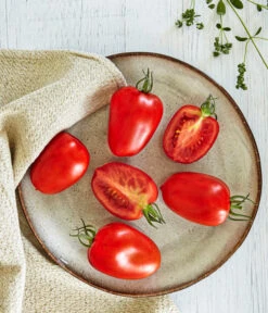 Bioland Eiertomate -Pflanzenbedarf Geschäft 8831463 WE MO 001 BiolandEiertomate