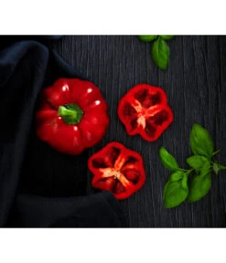 Dehner Gourmet Garten Tomatenpaprika -Pflanzenbedarf Geschäft 8831562 WE MO 001 TomatenpaprikaRenner