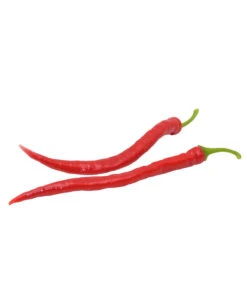 Milde Peperoni -Pflanzenbedarf Geschäft 8831695 WE FS 002 mildepeperoni