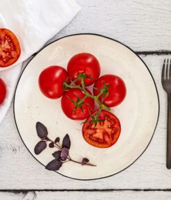 Bioland Buschtomate 7 Bioland Buschtomate -Pflanzenbedarf Geschäft 8831968 WE MO 001 BiolandBuschtomate