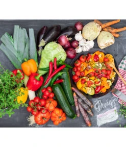 Cherrytomate 'Pepe' -Pflanzenbedarf Geschäft 8839235 8835605 8835472 8611063 8839243 8836918 WE MO 001 Pustagemuese GC04 2022 02