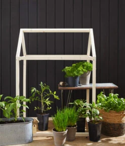 Cherrytomate 'Pepe' -Pflanzenbedarf Geschäft 8839243 8839243 8839201 8839185 8002271 8843781 8002578 WE MO 004 Fruehlingsshooting