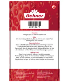 Erdbeere 'Delizz' 9 Erdbeere 'Delizz' -Pflanzenbedarf Geschäft 8840274 ErdbeereDelizzImmertragend Etikett 2